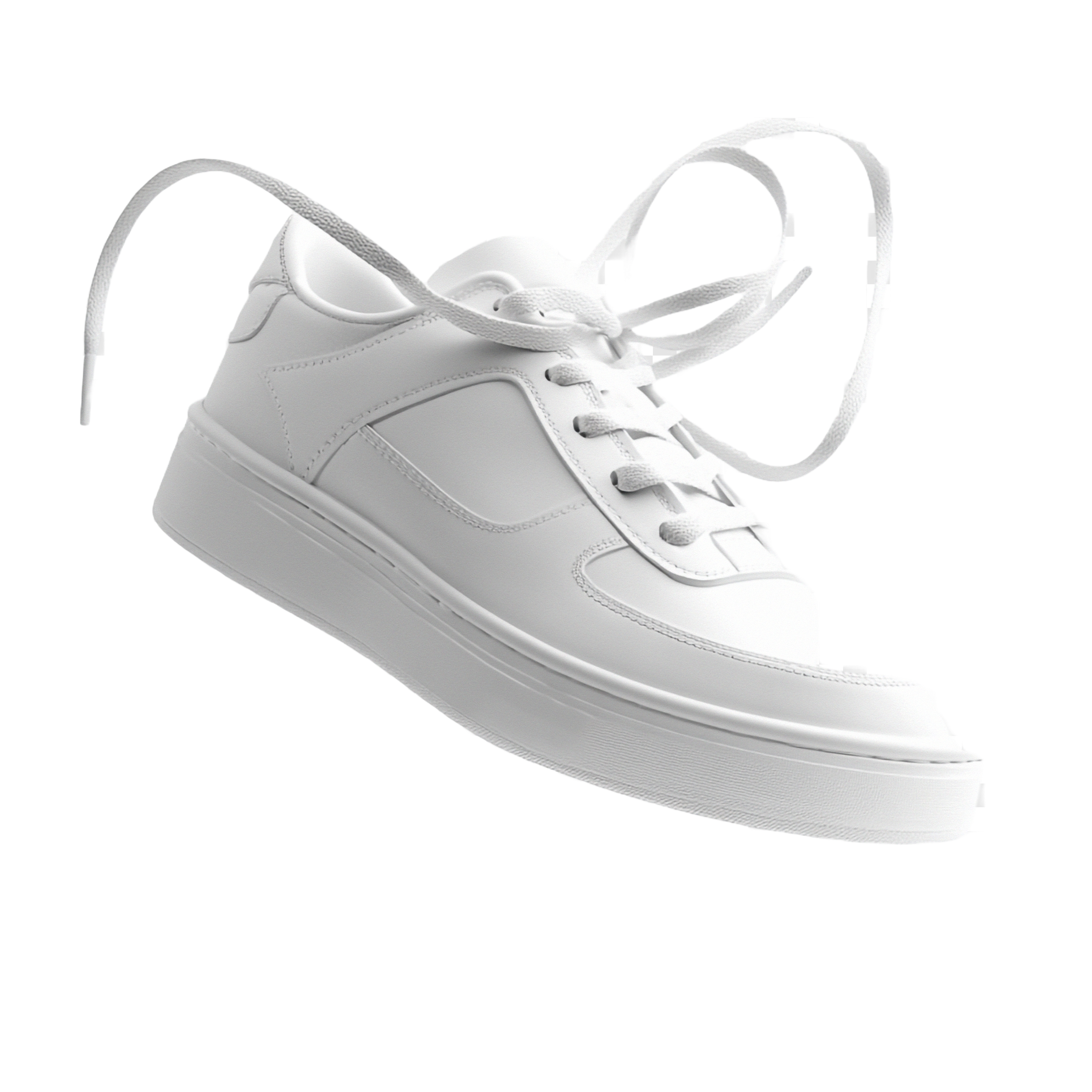 Nike Shoe